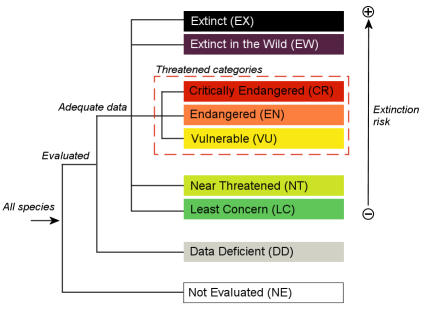 Endangered Species Classification Chart